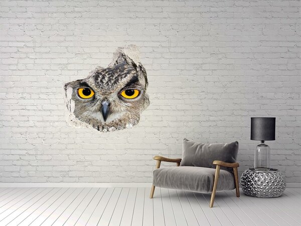 Díra 3D fototapeta na stěnu nálepka Sova nd-p-54839625