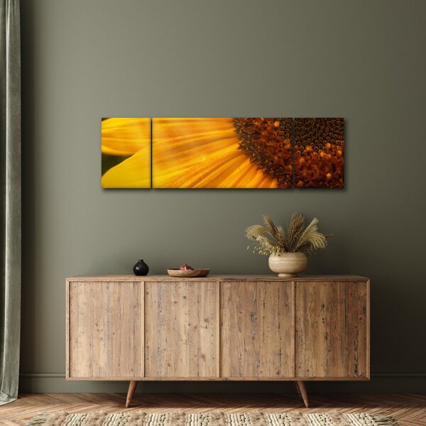 Obraz - Slunečnice (170x50 cm)