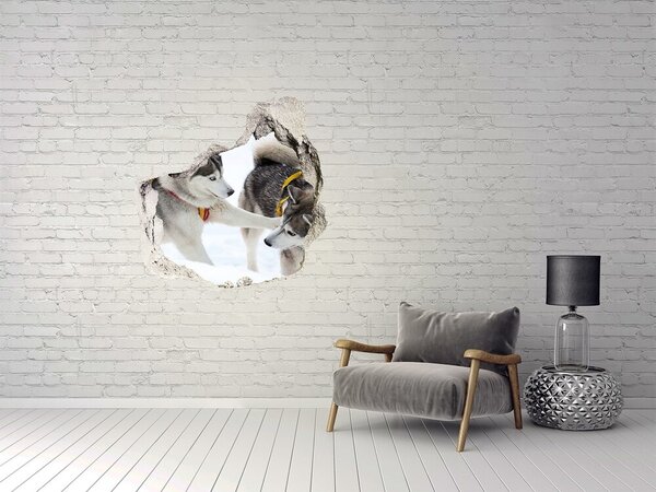 Díra 3D fototapeta na stěnu Hasky zima nd-p-56011790