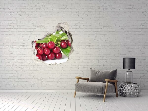 Nálepka 3D díra na zeď Brusinka nd-p-55879289
