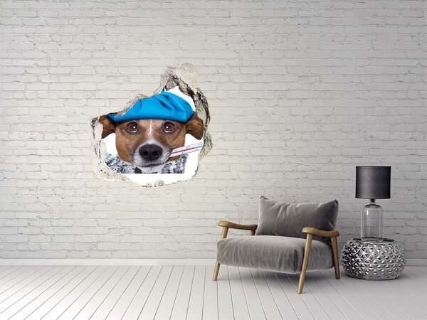 Díra 3D fototapeta na stěnu Nemocný pes nd-p-56627196
