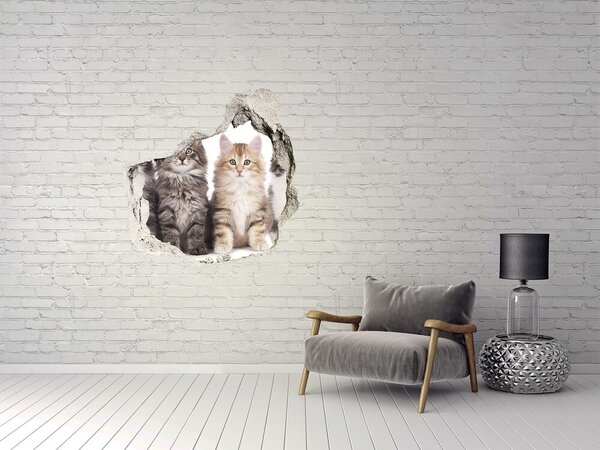 Díra 3D fototapeta nálepka Šest koček nd-p-57635875