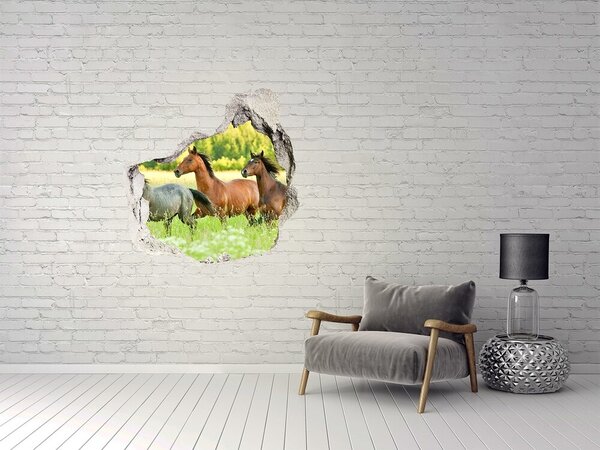 Díra 3D fototapeta nálepka Koně ve cvalu nd-p-58845191