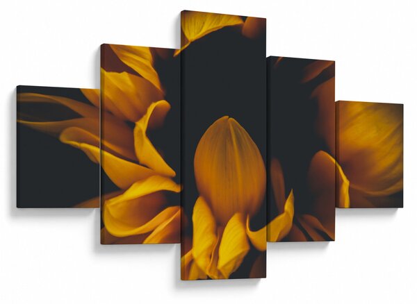 Obraz - Slunečnice v černém pozadí (125x70 cm)