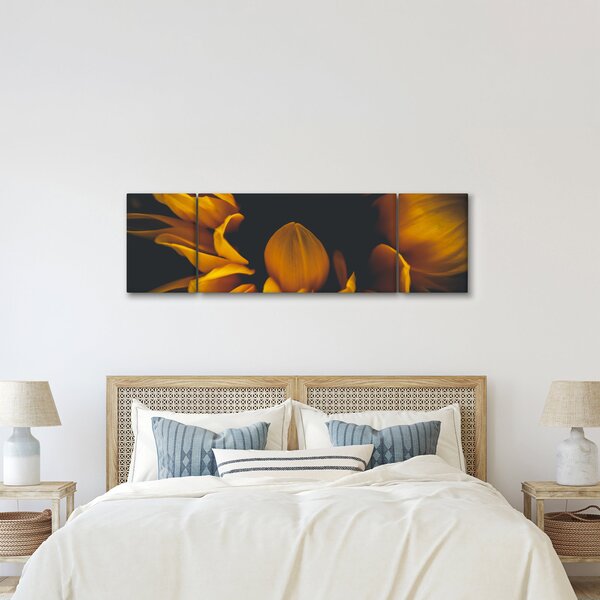 Obraz - Slunečnice v černém pozadí (170x50 cm)