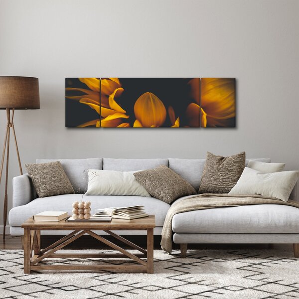 Obraz - Slunečnice v černém pozadí (170x50 cm)