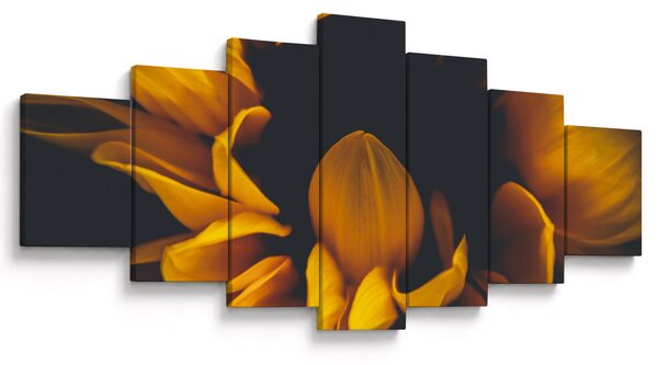 Obraz - Slunečnice v černém pozadí (210x100 cm)