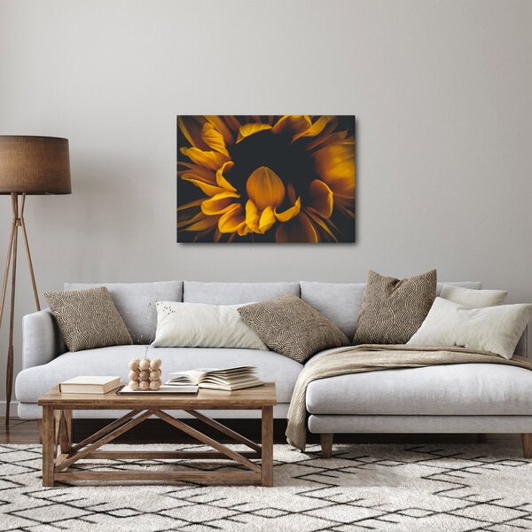 Obraz - Slunečnice v černém pozadí (70x50 cm)
