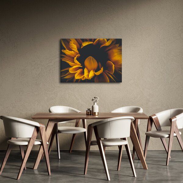 Obraz - Slunečnice v černém pozadí (70x50 cm)