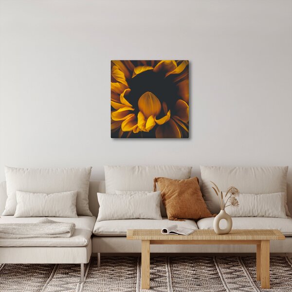 Obraz - Slunečnice v černém pozadí (30x30 cm)