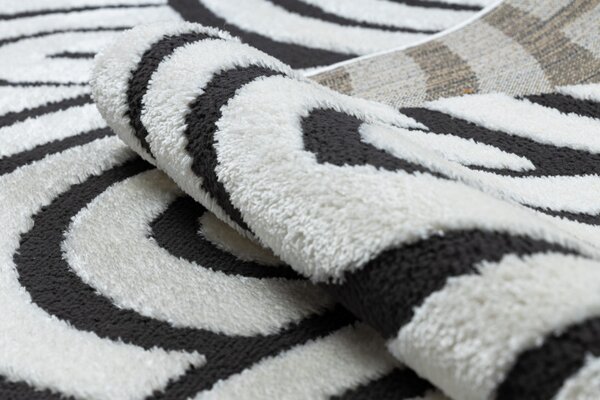 Dywany Łuszczów, AKCE: 160x220 cm Kusový koberec Mode 8629 cream/black, bílá, kancelář