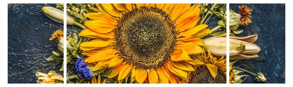 Obraz - Podzimní květiny (170x50 cm)