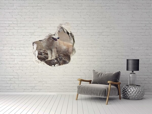 Díra 3D fototapeta na stěnu Bílý vlk na skále nd-p-60381309