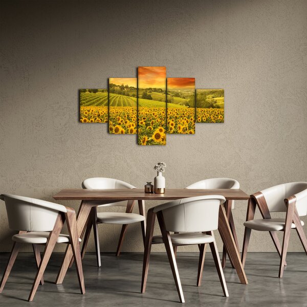 Obraz - Slunečnicové pole (125x70 cm)