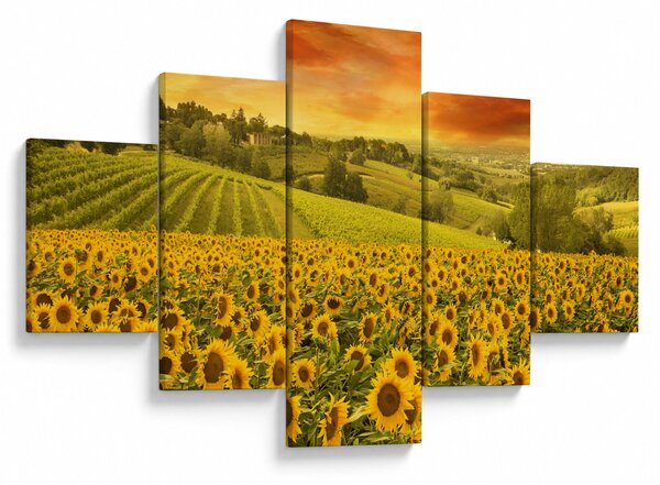 Obraz - Slunečnicové pole (125x70 cm)
