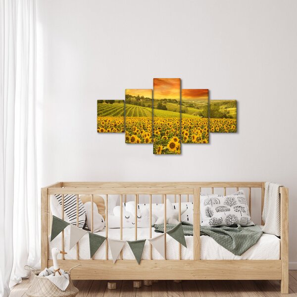 Obraz - Slunečnicové pole (125x70 cm)