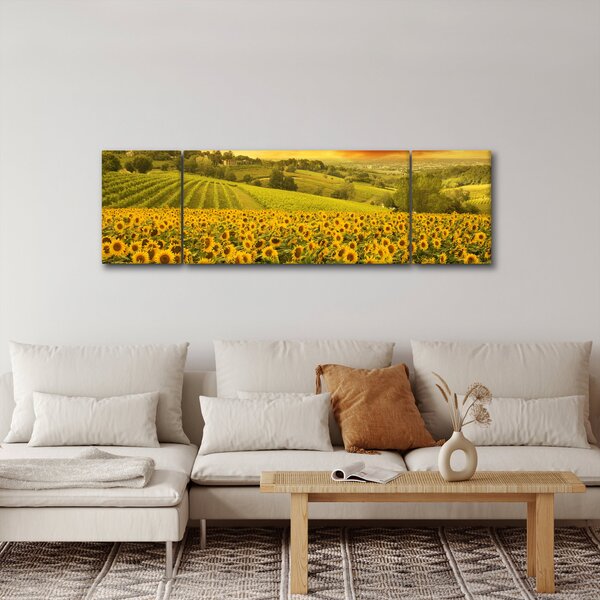 Obraz - Slunečnicové pole (170x50 cm)