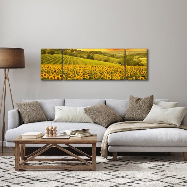 Obraz - Slunečnicové pole (170x50 cm)