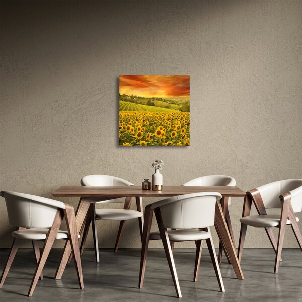 Obraz - Slunečnicové pole (30x30 cm)