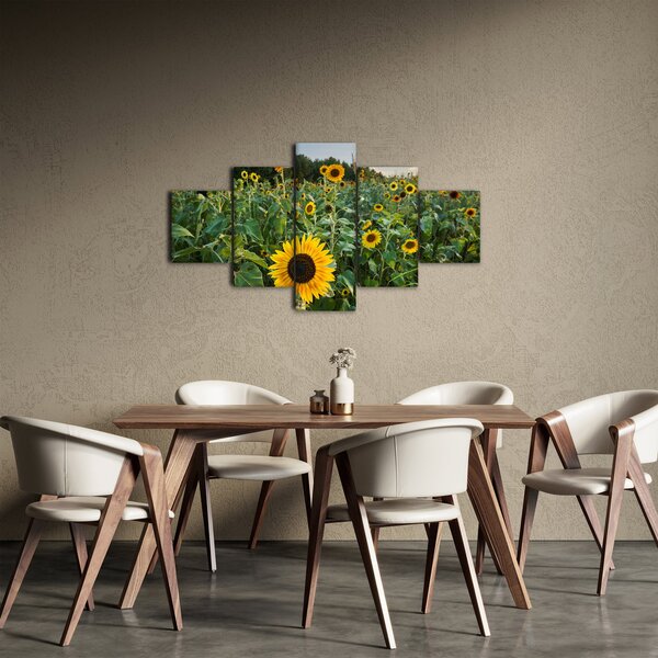 Obraz - Slunečnicové pole II. (125x70 cm)