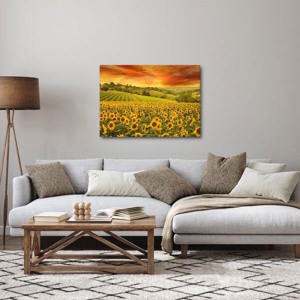 Obraz - Slunečnicové pole (70x50 cm)