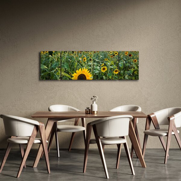 Obraz - Slunečnicové pole II. (170x50 cm)