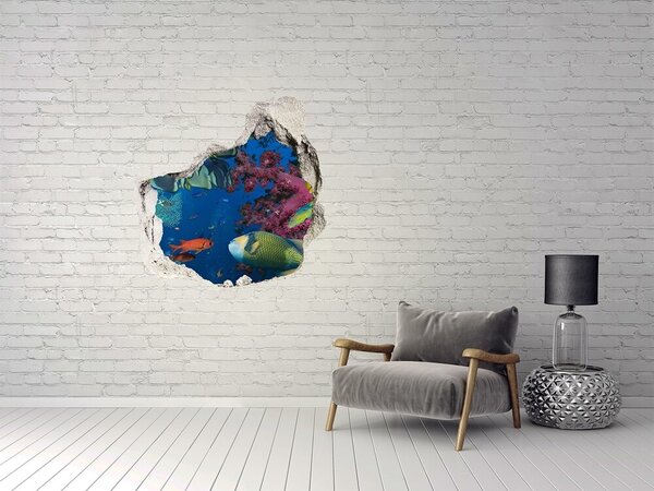 Díra 3D fototapeta na stěnu Korálový útes nd-p-64308436
