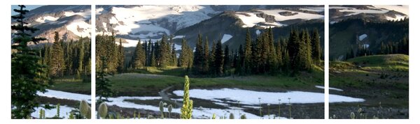 Obraz - Mount Rainier (170x50 cm)
