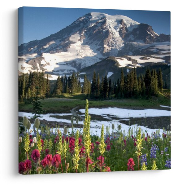Obraz - Mount Rainier (30x30 cm)