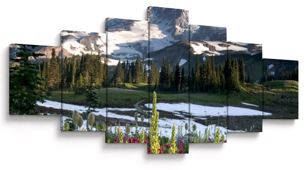 Obraz - Mount Rainier (210x100 cm)