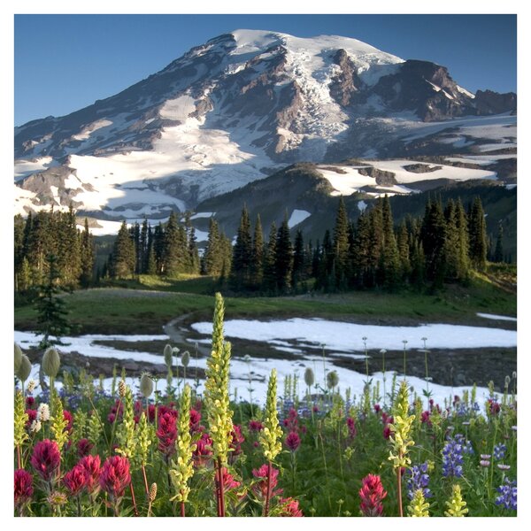 Obraz - Mount Rainier (30x30 cm)