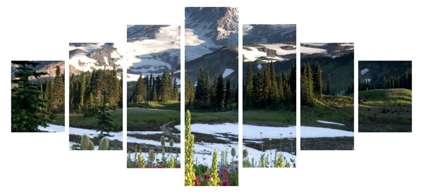 Obraz - Mount Rainier (210x100 cm)