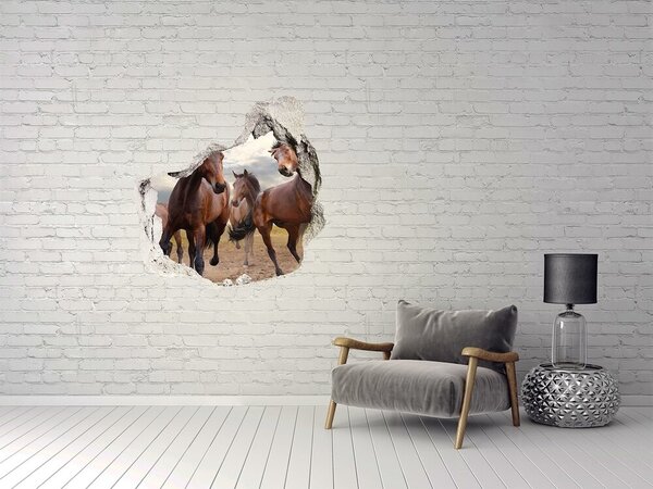 Díra 3D fototapeta na stěnu Pět koní nd-p-65000408