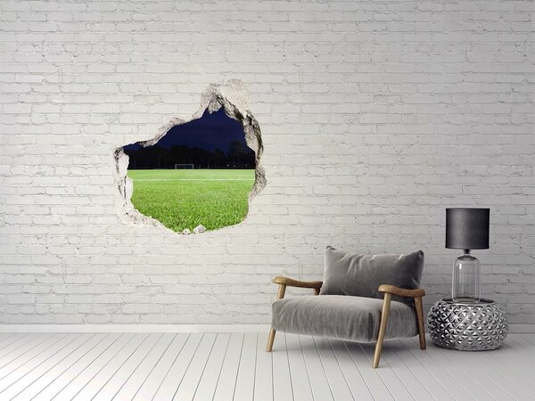 Fototapeta díra na zeď 3D Fotbalové hřiště nd-p-65103124