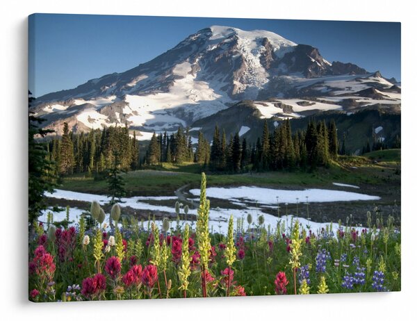 Obraz - Mount Rainier (70x50 cm)