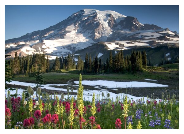Obraz - Mount Rainier (70x50 cm)