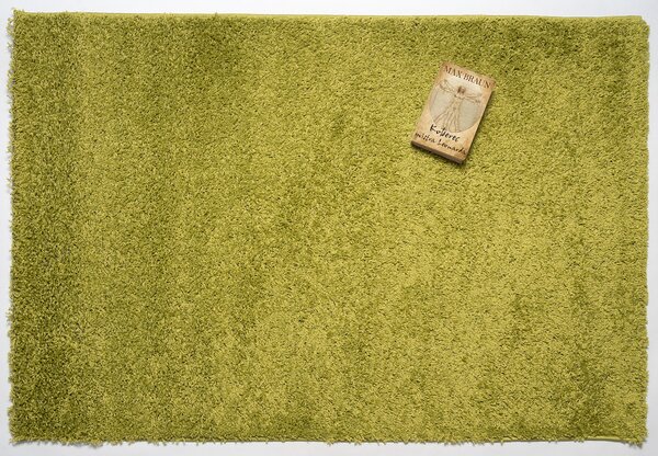 Mono Carpet, Kusový koberec Efor Shaggy 1903 Green, 80x150, zelená, ložnice