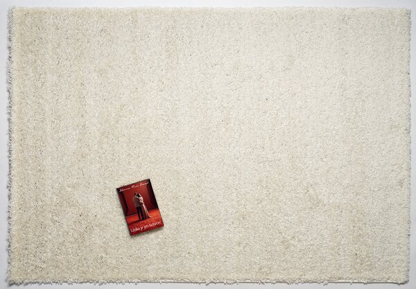 Mono Carpet, Kusový koberec Efor Shaggy 2137 Cream, 80x150, bílá, ložnice