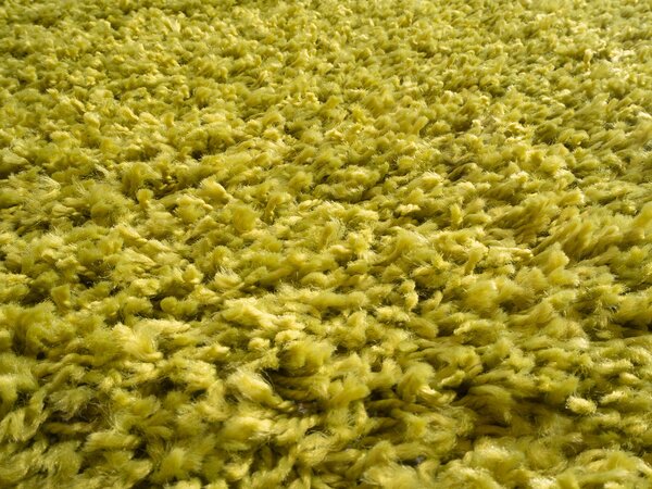 Mono Carpet, Kusový koberec Efor Shaggy 1903 Green, 80x150, zelená, ložnice