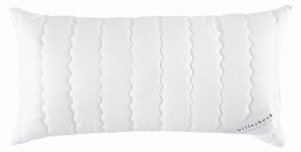 POLŠTÁŘ POD HLAVU, 40/80 cm Billerbeck - Polštáře pod hlavu, Online Only