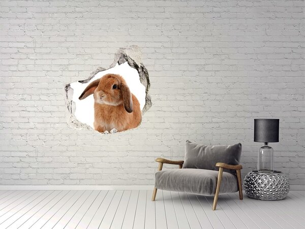 Díra 3D fototapeta nálepka Červený králík nd-p-65984756