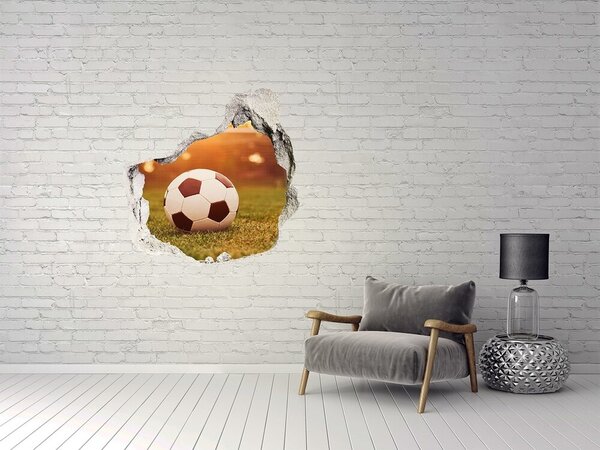 Fototapeta díra na zeď 3D Míč na hřišti nd-p-66115658
