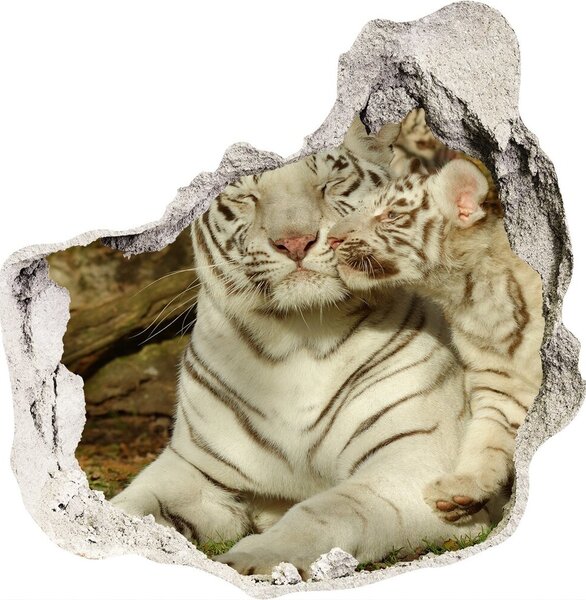 Díra 3D fototapeta nálepka Tygři nd-p-73601237