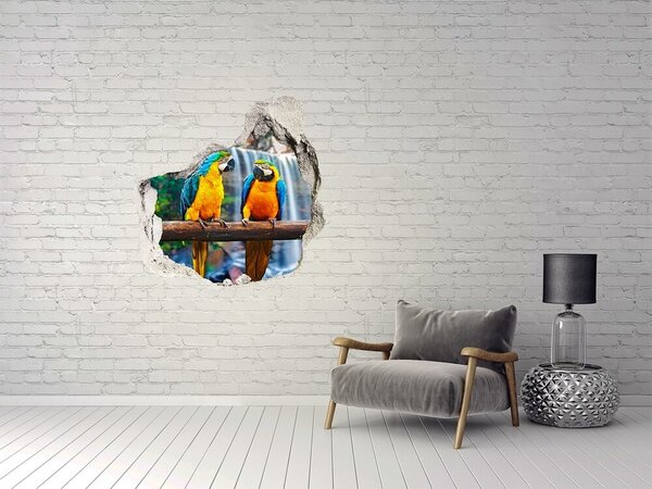 Díra 3D fototapeta nálepka Papošci na větvi nd-p-73798954