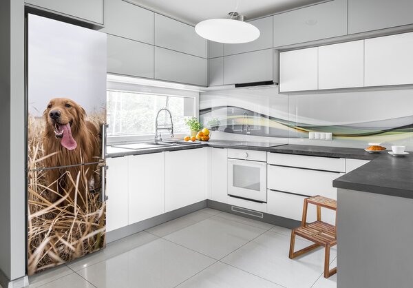 Nálepka fototapeta lednička Golden retriever FridgeStick-70x190-f-122552617
