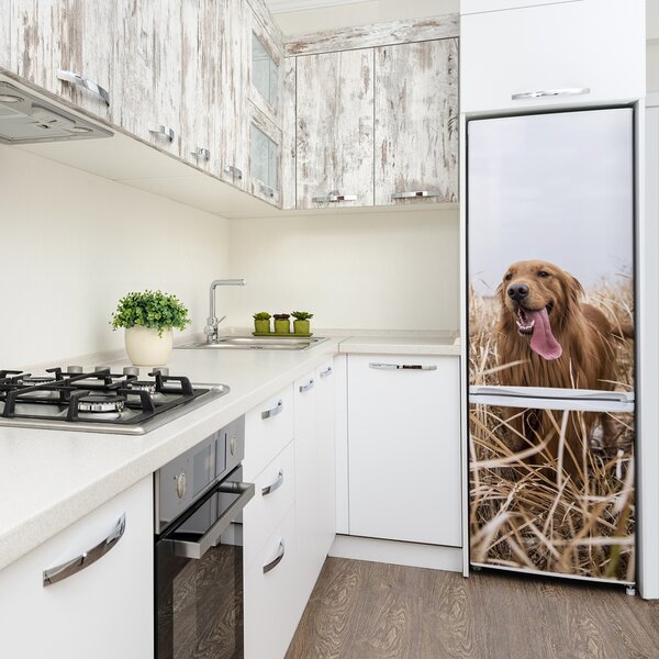 Nálepka fototapeta lednička Golden retriever FridgeStick-70x190-f-122552617