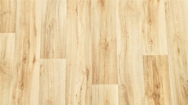 PVC Vector - Lime Oak 316M 4 m