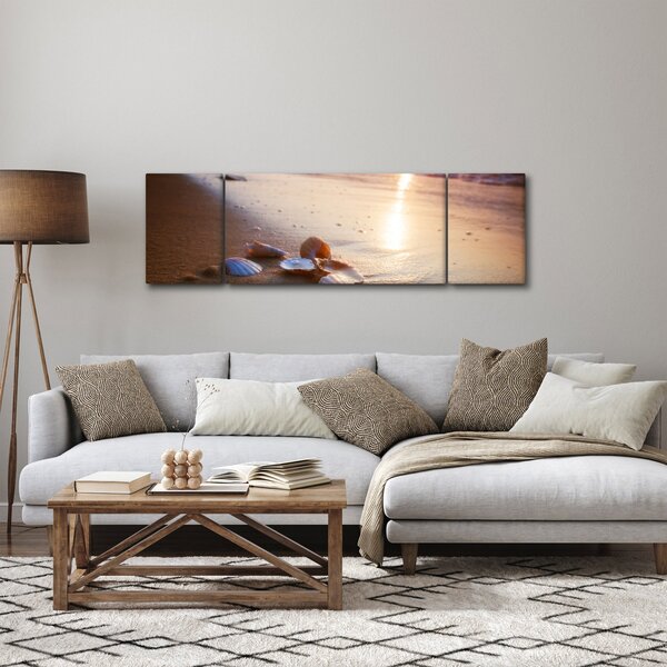 Obraz - Mušle (170x50 cm)