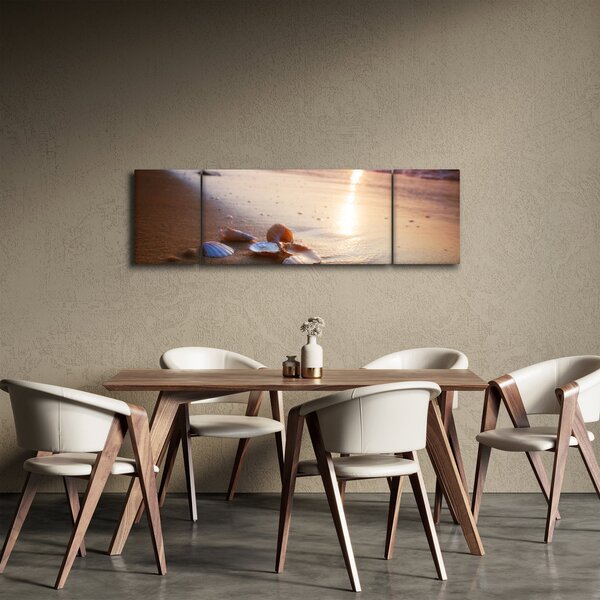 Obraz - Mušle (170x50 cm)