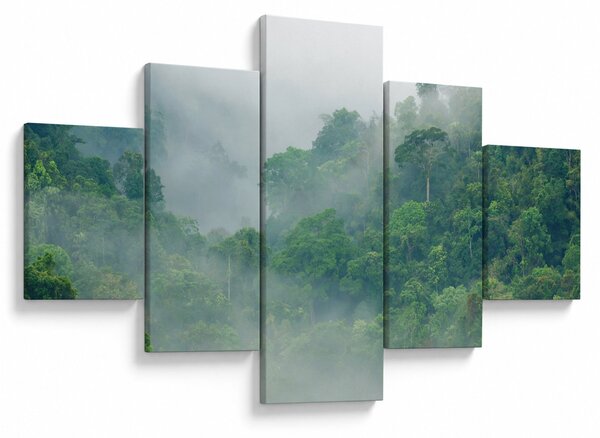 Obraz - Ranní mlha (125x70 cm)